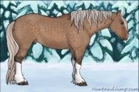 Horse Color:Silver Bay Dun