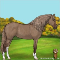 Horse Color:Liver Red Dun 