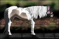 Horse Color:Blue Onyx Tobiano 