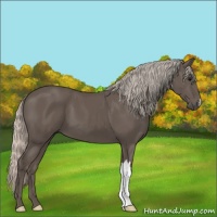 Horse Color:Silver Black 