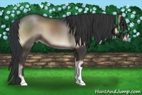 Horse Color:Blue Onyx
