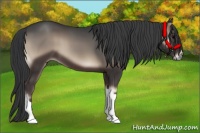 Horse Color:Blue Onyx 