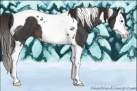 Horse Color:Liver Red Roan Splash Tobiano 