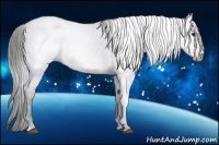 Horse Color:Gray Bay Dun