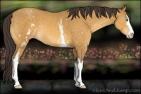 Horse Color:White Spotted Amber Cream Champagne Sabino 