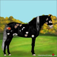 Horse Color:White Spotted Bay Splash Frame 