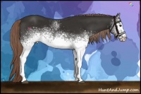 Horse Color:White Spotted Liver Chestnut Tobiano 