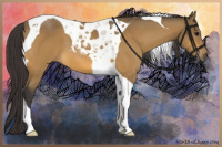 Horse Color:Buckskin Tobiano