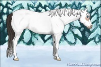 Horse Color:White Spotted Bay Splash Frame 