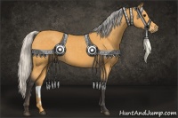Horse Color:Silver Buckskin 