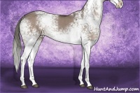 Horse Color:White Spotted Liver Red Dun Mushroom Splash Rabicano