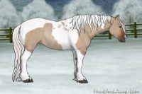 Horse Color:Silver Brown Dun Tobiano Rabicano 