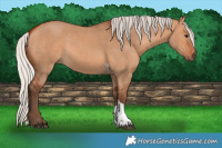 Horse Color:Silver Bay Dun Tobiano Rabicano 