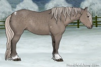 Horse Color:Silver Black Sabino Tobiano Rabicano 