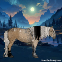 Horse Color:Void Silver Smoky Black Tobiano 