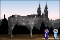 Horse Color:Void Smoky Black Tobiano