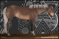 Horse Color:Silver Brown Tobiano Rabicano