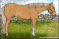 Horse Color:Palomino 