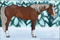 Horse Color:Silver Brown Splash 