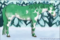 Horse Color:Watercolor Black Splash 