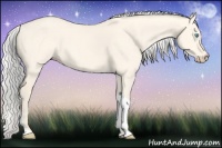 Horse Color:Silver Perlino Dun Tobiano