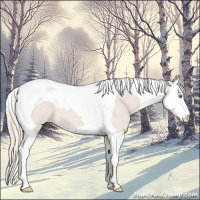 Horse Color:Smoky Creme Roan Splash Tobiano 