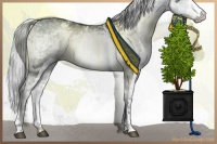 Horse Color:White Spotted Silver Grullo Chinchilla Ice 