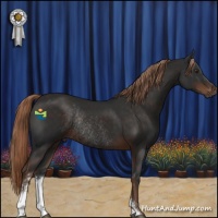 Horse Color:Liver Chestnut Sabino Rabicano 