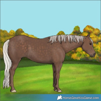 Horse Color:Silver Black 