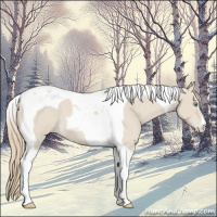 Horse Color:Smoky Creme Roan Tobiano 