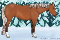 Horse Color:Silver Bay 