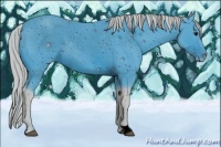 Horse Color:ERROR: UNKNOWN ANOMALY