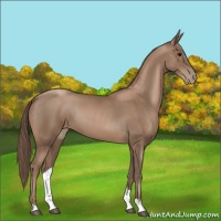 Horse Color:Black Pearl 