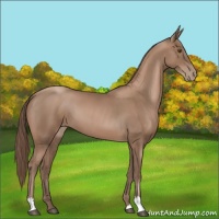 Horse Color:Black Pearl 