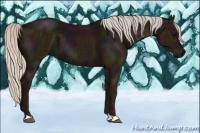 Horse Color:Midnight Silver Black 