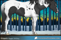 Horse Color:Black Tobiano 