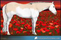 Horse Color:Silver Amber Champagne Dun Splash Frame 