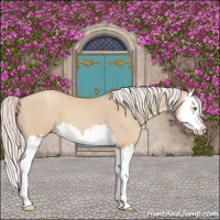 Horse Color:Silver Classic Champagne Dun Splash