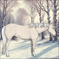 Horse Color:Silver Smoky Creme Roan 