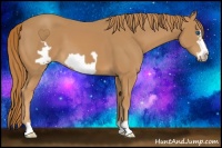 Horse Color:Chestnut Frame 