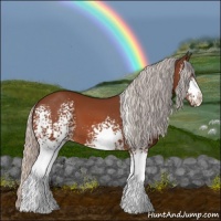 Horse Color:White Spotted Silver Bay Sabino 