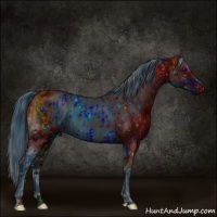 Horse Color:ERROR: UNKNOWN ANOMALY and ERROR: UNKNOWN ANOMALY