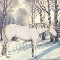 Horse Color:Smoky Creme Roan Rabicano 