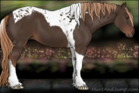 Horse Color:Liver Chestnut Tobiano 
