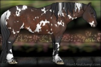 Horse Color:White Spotted Brown 