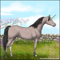 Horse Color:Platinum Bay 