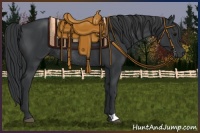 Horse Color:Black Rabicano 