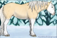 Horse Color:Silver Amber Cream Champagne Dun Splash Rabicano 