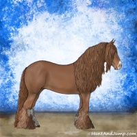 Horse Color:Chestnut Frame