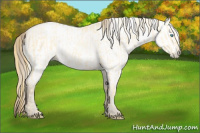 Horse Color:Buckskin Roan Pearl  and Gray Buckskin Roan Pearl 